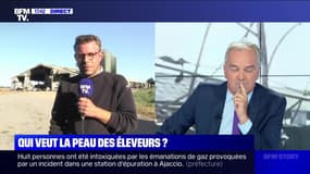 Un élevage de poulets incendié dans l'Orne - 18/09