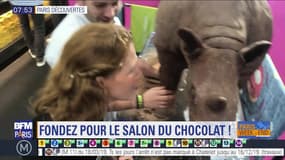 Paris Découverte: Fondez pour le salon du chocolat !