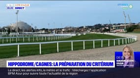 Cagnes-sur-Mer: préparation du critérium à l'hippodrome