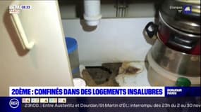 Des Parisiens confinés dans des logements insalubres