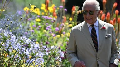 Le roi Charles III dans un jardin communautaire à Deal, dans le sud-est de l'Angleterre, le 10 juillet 2025.
