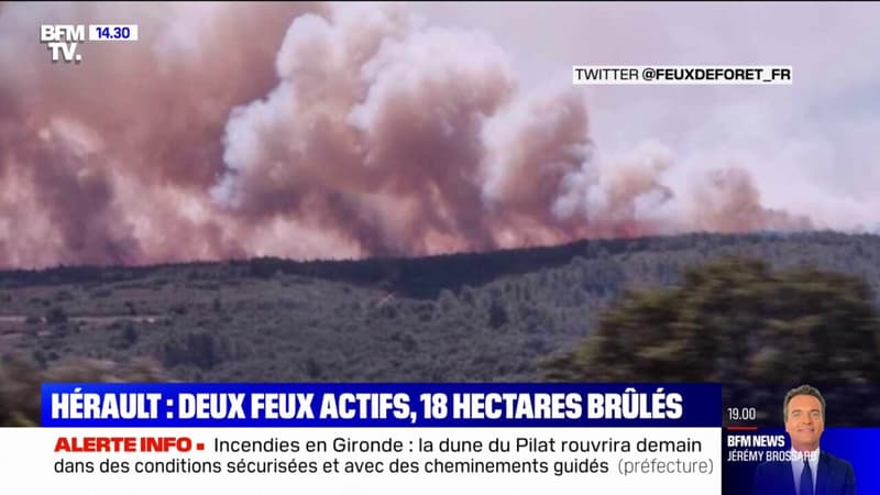Hérault: deux feux actifs, 18 hectares brûlés près de Montpellier