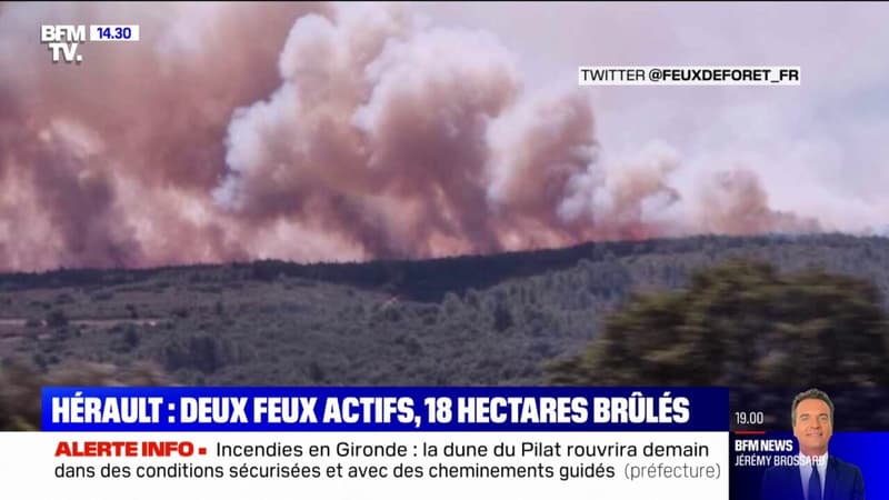 Hérault: deux feux actifs, 18 hectares brûlés près de Montpellier