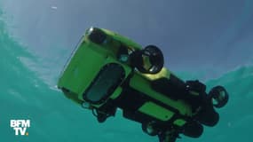 LarvalBot, le robot pondeur de coraux qui pourrait sauver la Grande Barrière