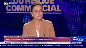  Les Chroniques du risque commercial : Quels risques les entreprises doivent-elles gérer ? - Lundi 16 janvier