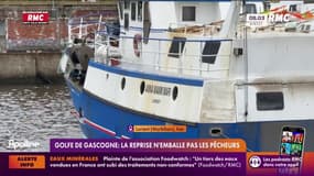 Golfe de Gascogne: Des difficultés pour les pêcheurs malgré l'interdiction levée
