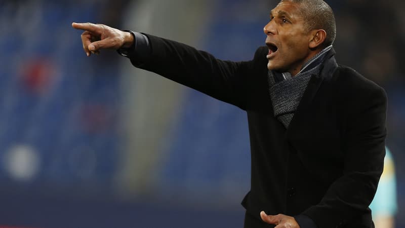 Franck Passi, l'entraîneur du LOSC jusqu'à la fin de la saison