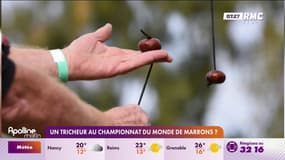 Un tricheur au championnat du monde de marrons? 