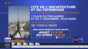 Paris Pétille: un hommage à Notre-Dame de Paris à la Cité de l'architecture et du patrimoine le 30 octobre