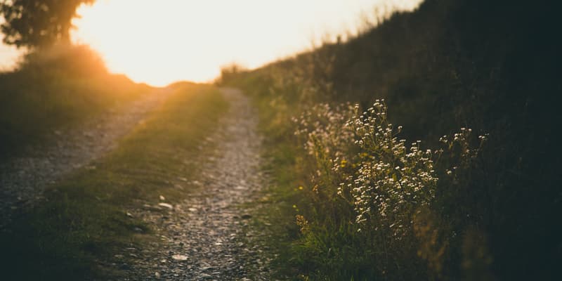 Illustration d'un chemin