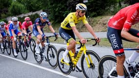 Le maillot jaune Mathieu van der Poel
