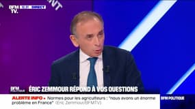 Police : "S'il y a des abus et des bavures, ils doivent être sanctionnés", Éric Zemmour - 21/01