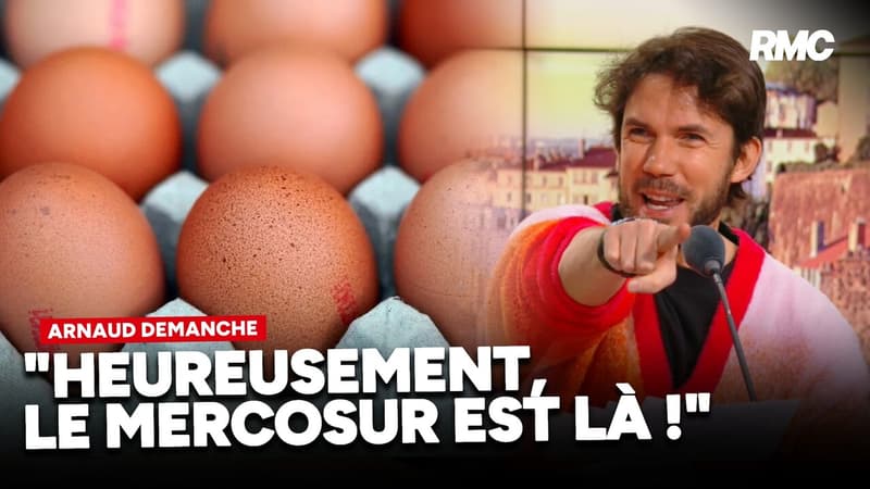 Œufs : C'est la pénurie !