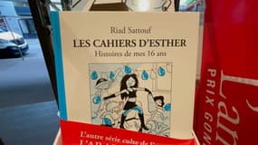 Le dernier tome en date des "Cahiers d'Esther"
