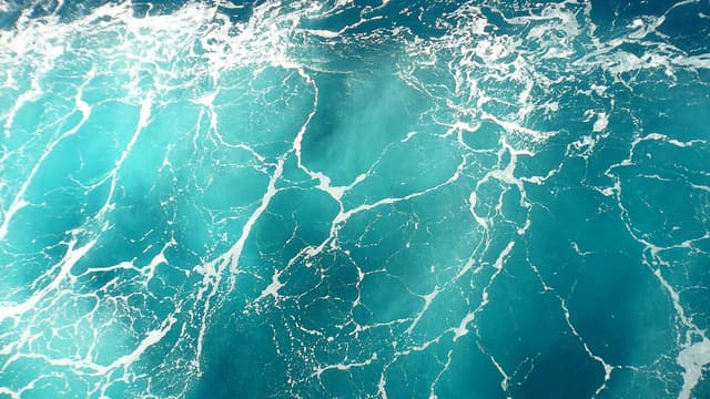 Amoéba a mis au point un biocide naturel utilisé pour le traitement des eaux industrielles