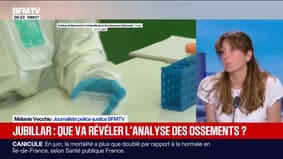 Affaire Jubillar: que va révéler l'analyse des ossements? 