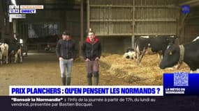 Seine-Maritime: les agriculteurs réagissent aux annonces d'Emmanuel Macron sur les prix planchers