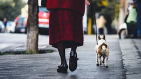 Une femme en train de promener son chien dans la rue. (Photo d'illustration)