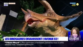 La Valette-du-Var: l'exposition Jurassic Park, qui séduit depuis plus d'un an, bientôt agrandie