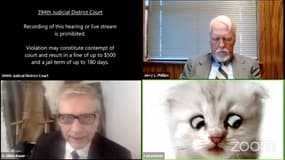 Un avocat texan coincé avec un filtre "chat" lors d'une audience sur Zoom