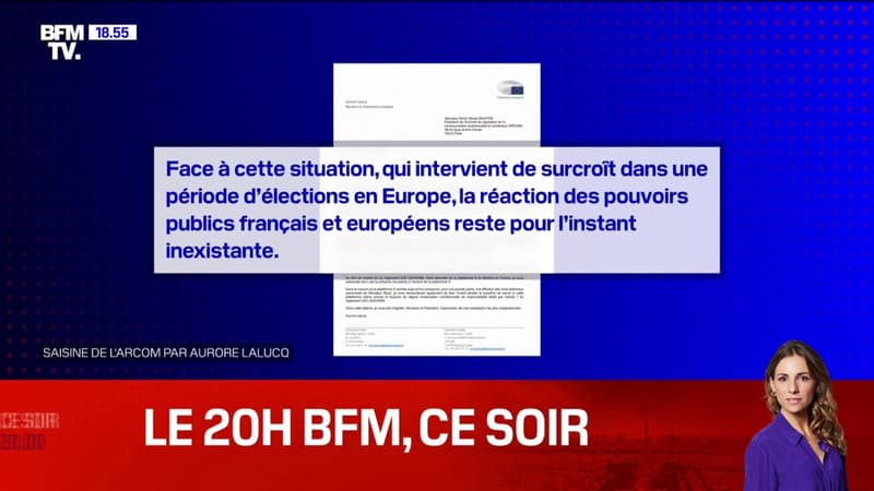 Ingérences en Europe: l'eurodéputée Aurore Lalucq (Place publique) saisit l'Arcom contre Elon Musk