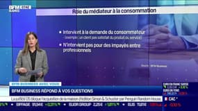 BFM Business avec vous : Est-ce que le médiateur à la consommation peut intervenir en cas d'impayé ? - 01/11