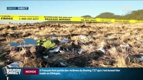 Crash d'Ethiopian Airlines: neuf Français parmi les victimes