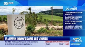 La maison de champagne Moët et Chandon de LVMH utilise une IA pour trier ses raisins