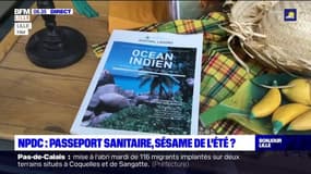 Passeport sanitaire: une aubaine pour relancer l'activité des agences de voyages?