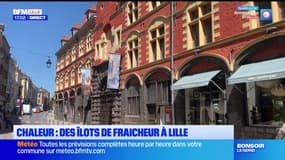 Chaleur: des îlots de fraîcheur à Lille