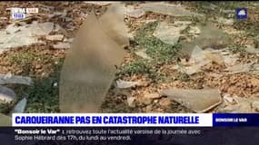 Var: la commune de Carqueiranne espère être placée en état de catastrophe naturelle