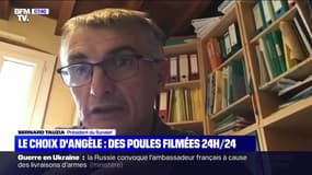 Le choix d'Angèle : Des poules filmées 24h/24 - 07/10