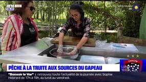 Passions Provence : Pêche à la truite aux sources du gapeau