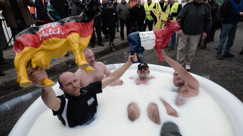 Une centaine d'éleveurs français et allemands se sont baignés ce vendredi