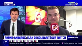 Rhône: élan de solidarité pour la cause animale sur Twitch