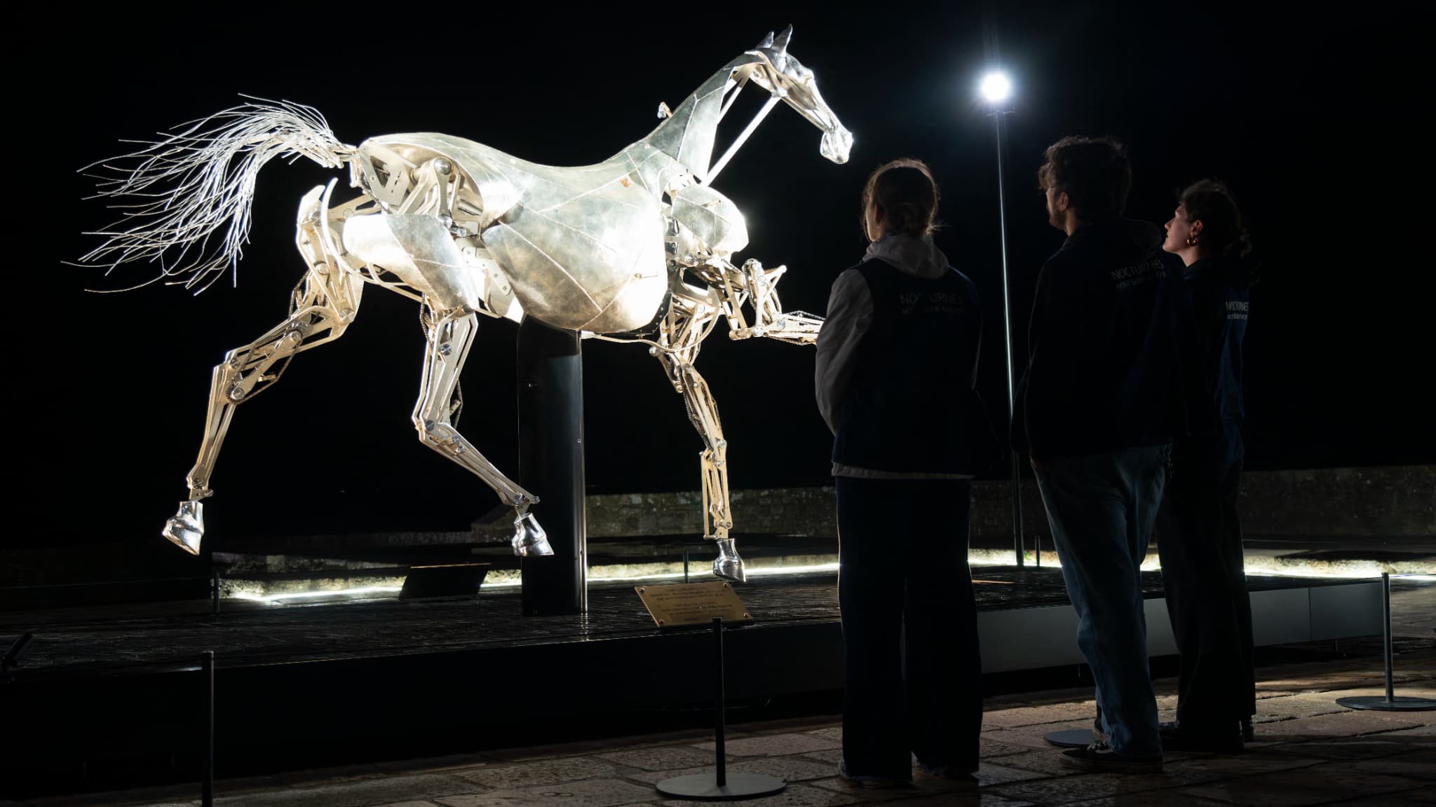 À NANTES, L'EXPOSITION DE ZEUS, LE CHEVAL DES JEUX OLYMPIQUES, MENACÉE PAR LES MOUVEMENTS SOCIAUX
