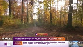 Les Indiscrets - Une proposition de loi pour garantir l'accès aux forêts