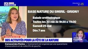 Histoire du jour: des activités à l'occasion de la fête de la nature