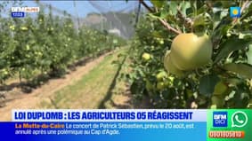 Loi Duplomb : les agriculteurs des Hautes-Alpes réagissent 