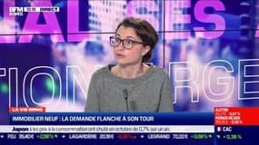 Marie Coeurderoy: Immobilier neuf, la demande flanche à son tour - 20/11