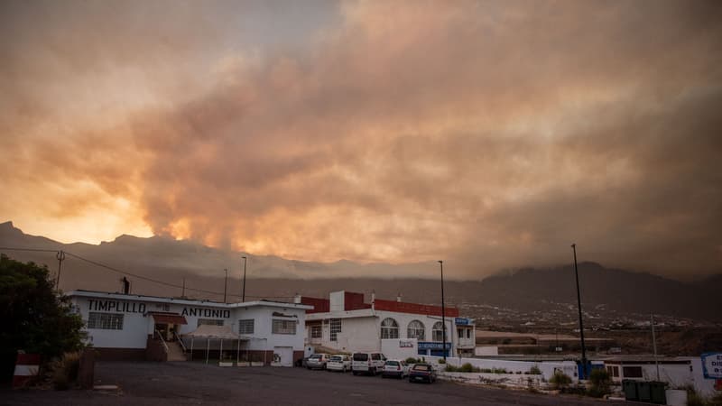 Un incendie "hors de contrôle" est combattu par les pompiers de l'île espagnole de Tenerife, le 16 août 2023