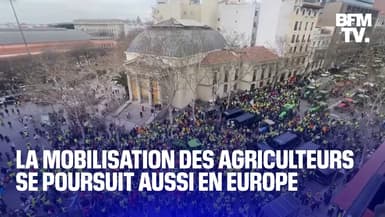 Espagne, Italie, Grèce, Pologne: la mobilisation des agriculteurs se poursuit en Europe 