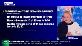 Île-de-France: qui sont les lanceurs de fausses alertes?