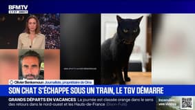 Chat écrasé sur les voies: "La SNCF n’a pas tout fait pour sauver mon petit chat", dénonce Olivier Benkemoun, propriétaire de Gina et qui a décidé de porter plainte