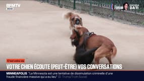 C'est votre vie - 26/01