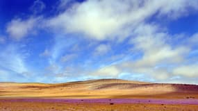 Le désert d'Atacama, au Chili