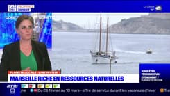 Planète Locale du lundi 26 février  - Marseille riche en ressources naturelles 