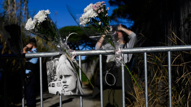 "Elle aimait la simplicité": après la mort de Brigitte Bardot, l'émotion et l'hommage des habitants de Saint-Tropez