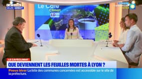 Que deviennent les feuilles mortes à Lyon? est au menu du Café climat