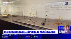 Bas-Rhin: des bijoux de la Belle Époque exposés au musée Lalique